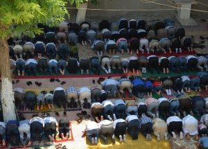 Camileri ‘Terör Yuvaları' Diye Fişlemişler