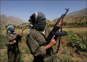 PKK'dan 2 Eski Yöneticisine Saldırı!
