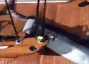 Ava Giderken Avlanıyorlardı