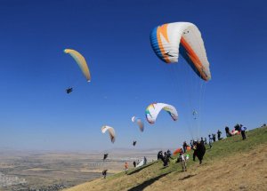 Paraşütçünün Hayatını, Takıldığı Ağaç Kurtardı