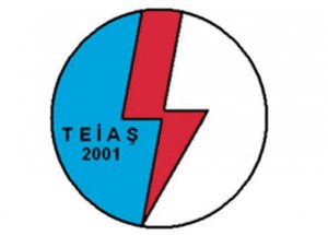 TEİAŞ, 5 müfettiş Yardımcısı Alacak