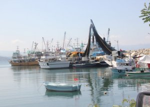 Balık Sezonu Başlıyor