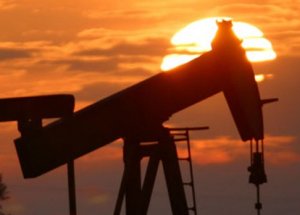 TPAO Dünya Petrol Kongresi'ne Talip
