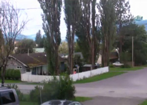 Bu Ses Duyanların Tüylerini Ürpertti