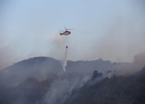 Antalya'da Orman Yangını
