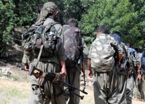 Şırnak’ta 13 PKK’lı Teslim Oldu