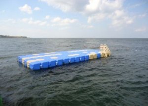 64 Yaşında Küba'dan Florida'ya Yüzdü