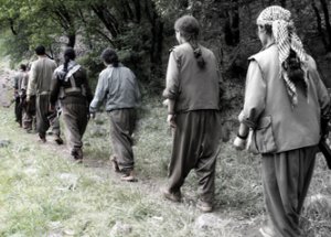 PKK Minibüs Yaktı