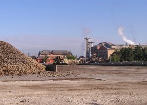 Kastamonu Şeker Fabrikası, pancar alımına başladı