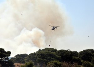 Antalya'da Orman Yangını