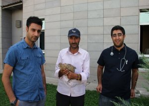 Hastane Bahçesindeki Keklik Yavrusu Şaşırttı