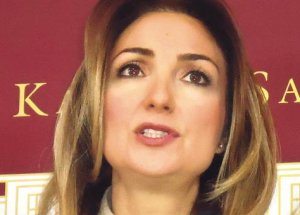 Chp'nin Ankara'dan İlk Aday Adayı