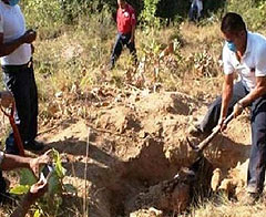 Bosna'da Yeni Toplu Mezar Bulundu