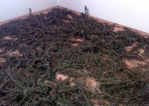 Elmalı’da 7,5 Kilo Esrar Ele Geçirildi