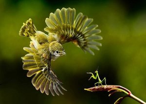 Zamanlama Harikası Kareler