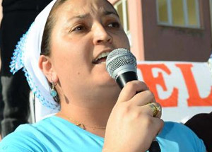 Termik Santral Özelleştirmesine 'Şiveli' Tepki