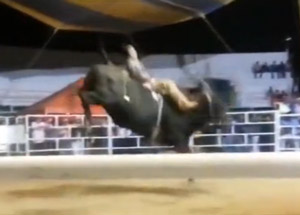 Boğayla Dans Olur mu?