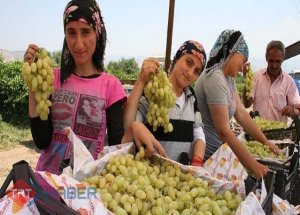 Şeker Hastalarına Özel Üzüm