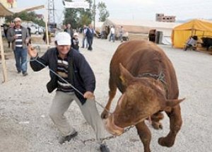 Kurban Bayramı Tatili Kaç Gün?