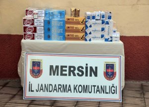 Mersin'de Uyuşturucu Ve Kaçakçılık Operasyonu