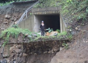 Rize’de Şiddetli Yağış Hasara Yol Açtı