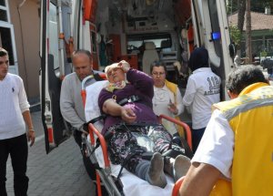 Çilek Toplarken Yılan Soktu