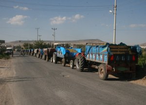 Üzüm Üreticilerinin Kuyruk Çilesi Sürüyor
