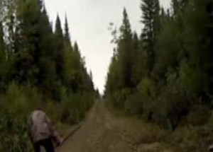 Ağacın İntikamı Acı Oldu