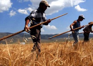 Çiftçiler İçin Son Başvuru