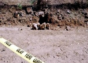 18 PKK'lının Firar Olayında Skandal Ortaya Çıktı
