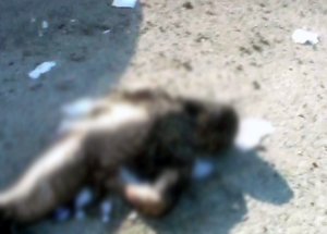 Bir Katliam Daha; Esed Liseye Saldırdı