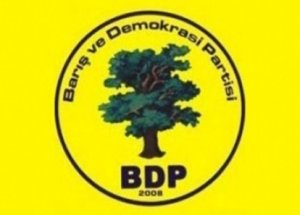 BDP Hazineden Ne Kadar Yardım Alacak?