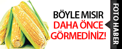 Böyle Rengarenk Mısır Gördünüz mü?