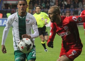 Timsah Kendine Geldi!