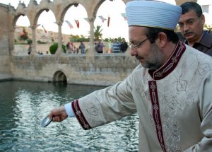 Sünnet Kararına Hz. İbrahimli Eleştiri
