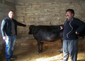 Korkuteli'de Besiciler Umutlu