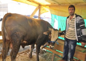 Altındağ’daki Kurbanlıklara Tam Not Verildi
