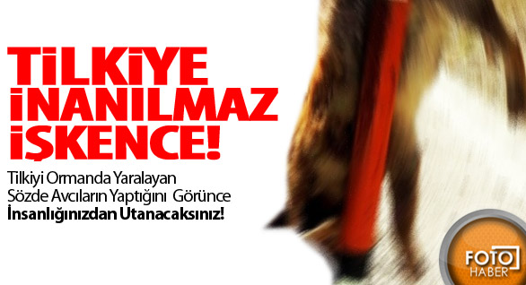 Tilkiye İnanılmaz İşkence!