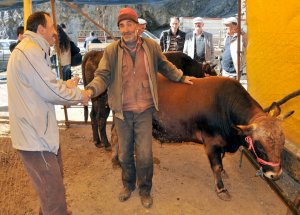 Gümüşhane'de Kurban Pazarları Durgun
