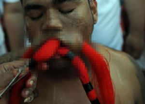 Böyle Festival Görülmedi