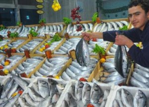 Markalanan Palamutlar Marmara Denizi'ne Bırakıldı