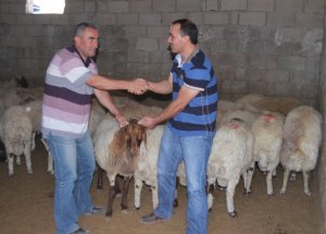 Kurban Keserken Hijyen Kurallarına Dikkat