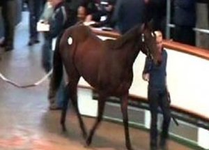 1 Yaşındaki Ata Servet Ödedi!