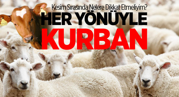 Her Yönüyle Kurban