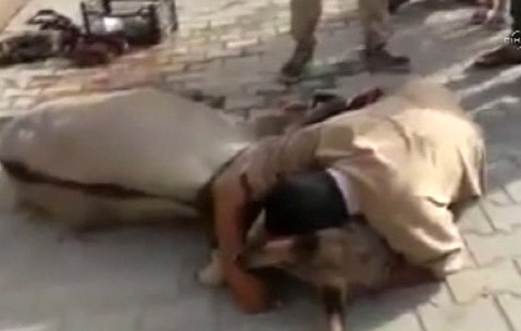 Ölen Eşeğine Sarılıp Ağladı