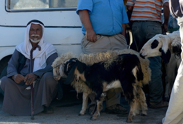 Kudüs "Kurbana" Hasret