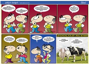 Yalçın Turgut İle Çizgilerin Gündemi