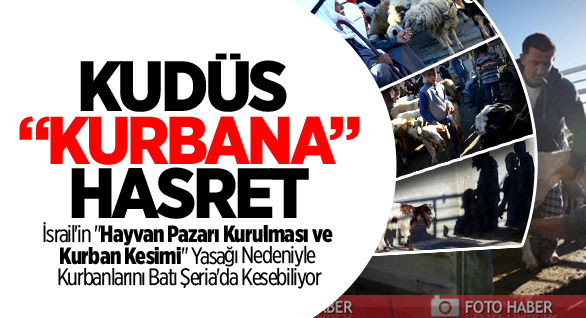 Kudüs "Kurbana" Hasret