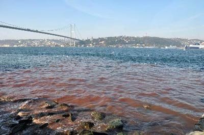İstanbul Boğazı Yine Kan Gölüne Döndü