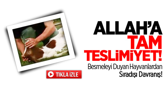 Allah'a Tam Teslimiyet!